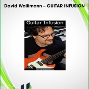 David Wallimann – GUITAR INFUSION