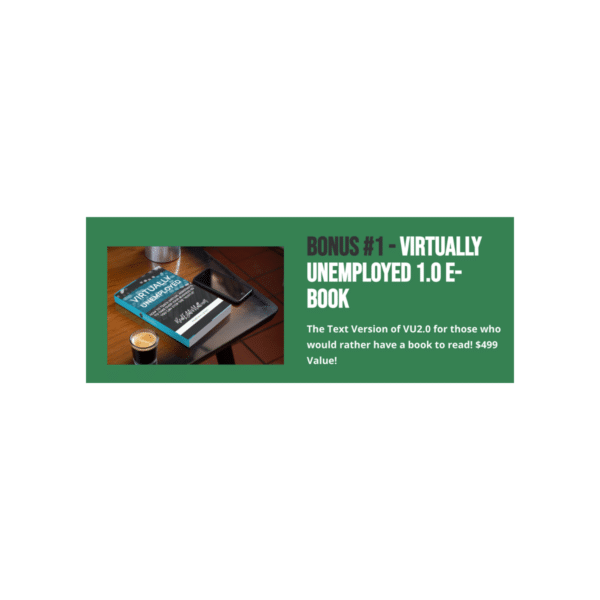 Matt Larson – Virtually Unemployed 2.0