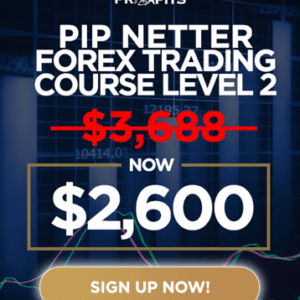 Piranha Profits – Forex Trading Course Level 2 – Pip Netter