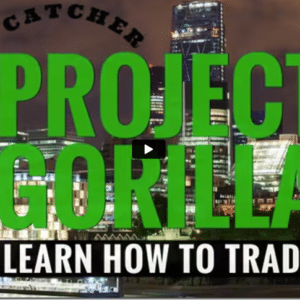 Project Gorilla
