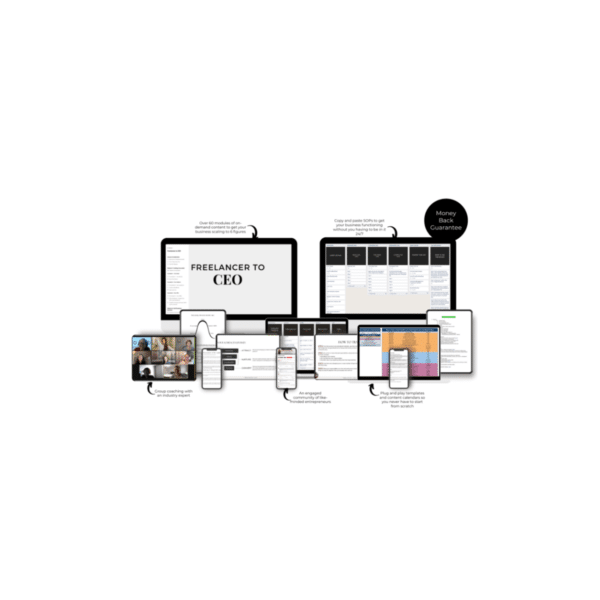 Suzy Crawford â€“ Freelancer To CEO
