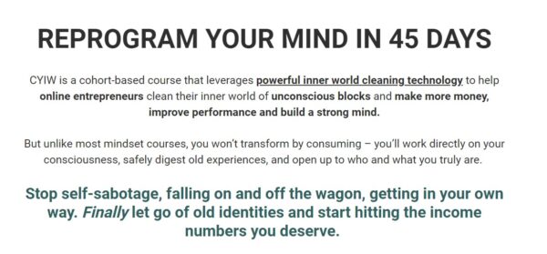 Tej Dosa â€“ Clean Your Inner World- Reprogram Your Mind In 45 Days