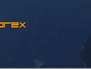 Yin Yang Forex Training Program – Trading Mastermind