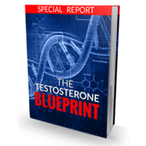 Bobby Rio – Testosteron Blueprint