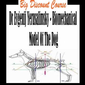 Dr Evgenij Yerusalimsky â€“ Biomechanical Model Of The Dog