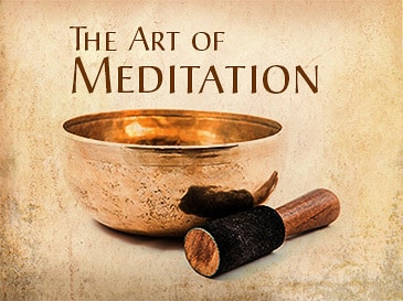 Adyashanti Ã¢â‚¬â€œ The Art of Meditation (Study Course, Feb 2016)