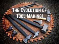 Alec Steele Ã¢â‚¬â€œ The Evolution of Tool Making
