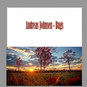 Andreas Johnsen â€“ Bugs