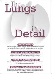 Angelica Dizon Ã¢â‚¬â€œ The Lungs in Detail