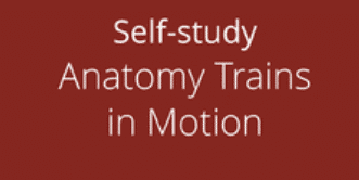 Art Of Motion Ã¢â‚¬â€œ Anatomy Trains in Motion (ATiM)