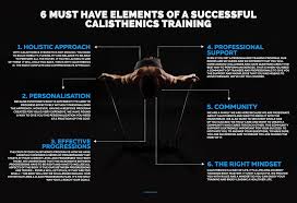 Calisthenics Academy Ã¢â‚¬â€œ Calisthenics Fundamentals Course