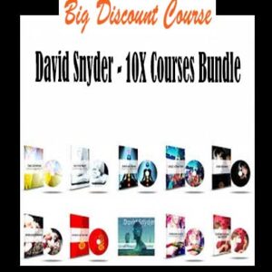 David Snyder â€“ 10X Courses Bundle
