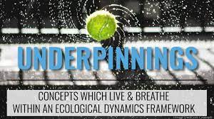 Emergence Ã¢â‚¬â€œ UNDERPINNINGS CONCEPTS WHICH LIVE & BREATHE WITHIN AN ECOLOGICAL DYNAMICS FRAMEWORK