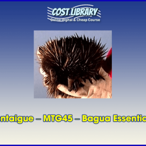 Erle Montaigue Ã¢â‚¬â€œ MTG45 Ã¢â‚¬â€œ Bagua Essentials Vol 5