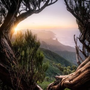 Fabio Antenore Ã¢â‚¬â€œ Videotutorial Bundle Hyperreal Landscapes