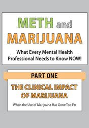 Hayden Center Ã¢â‚¬â€œ The Meth Epidemic, What Every Clinician Needs to Know