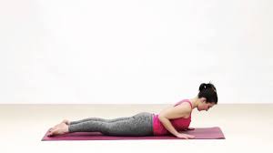Joseph Muscolino Ã¢â‚¬â€œ Stretching and Joint Mobilization of the Thoracic Spine and Rib Cage