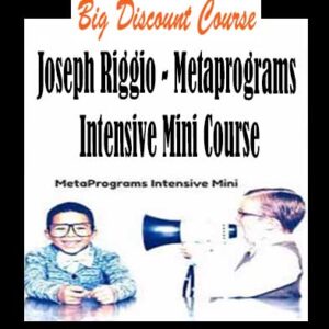 Joseph Riggio â€“ Metaprograms Intensive Mini Course
