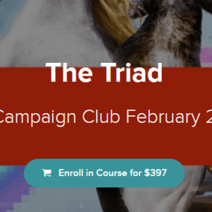 Kevin Hutto Ã¢â‚¬â€œ The Triad Ã¢â‚¬â€œ Ad Campaign Club February 2019