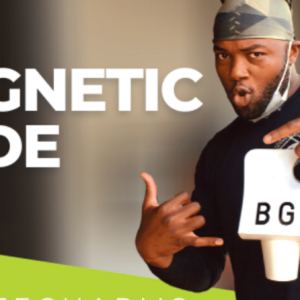Luke Fitzgerald Ã¢â‚¬â€œ The Magnetic Code