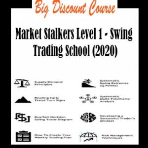 Market Stalkers Level 1 â€“ Swing Trading School (2020)