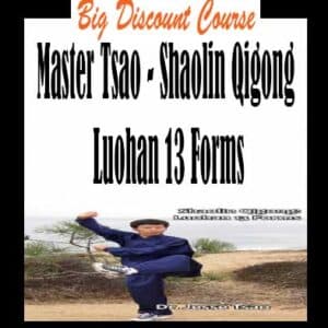 Master Tsao â€“ Shaolin Qigong Luohan 13 Forms