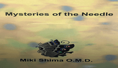 Miki Shima Ã¢â‚¬â€œ Mysteries of the Needle Ã¢â‚¬â€œ Japanese Art of Needling