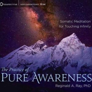 Reginald A. Ray Ã¢â‚¬â€œ The Practice of Pure Awareness