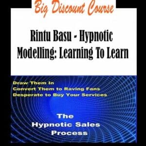 Rintu Basu â€“ Hypnotic Modelling: Learning To Learn
