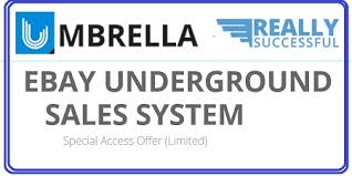 Roger and Barry Ã¢â‚¬â€œ eBay Underground Sales (eBus)