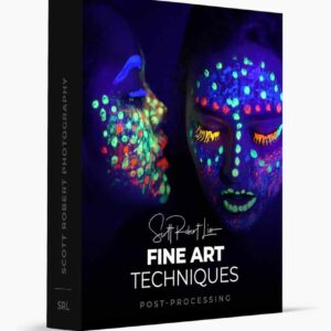 Scott Robert Lim Ã¢â‚¬â€œ Fine Art Techniques