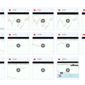 Advanced Price Action Course 2023 47 Videos Language-Hindi Quality -720P HD