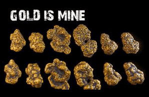 Shawn Buige Ã¢â‚¬â€œ The Gold Mine Version 2.1