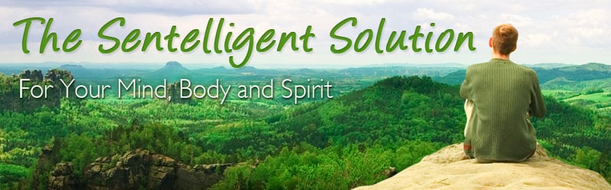 Stacey Mayo Ã¢â‚¬â€œ Sharpen Your Sentelligence