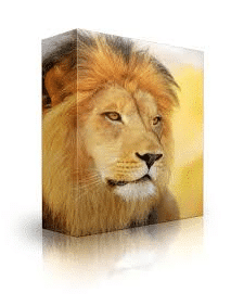 Subliminal Shop, Elvea Systems and Tradewynd Ã¢â‚¬â€œ Alpha Male V6 Aurora Edition