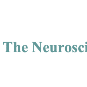 The Neuroscience School Ã¢â‚¬â€œ Work with Your Brain, Not against Your Brain Part 1