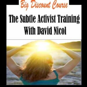 David Nicol â€“ The Subtle Activist Training