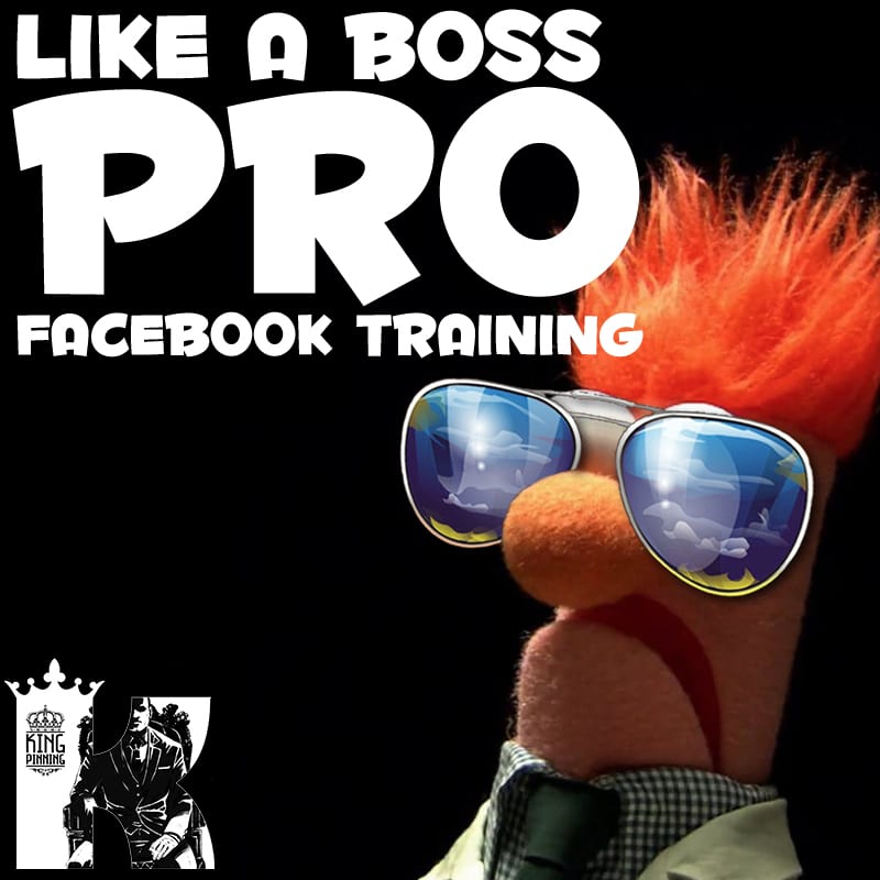 Travis Petelle Ã¢â‚¬â€œ LIKE A Boss PRO Facebook Training
