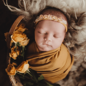 Twig and Olive Ã¢â‚¬â€œ Twig & OliveÃ¢â‚¬â„¢s Editing Academy Ã¢â‚¬â€œ February 2020