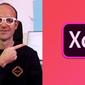 User Experience Design Essentials Ã¢â‚¬â€œ Adobe XD UI UX Design