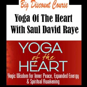 Saul David Raye â€“ Yoga Of The Heart