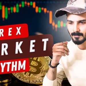 Forex Market Rhythm Course By Pradeep Jha