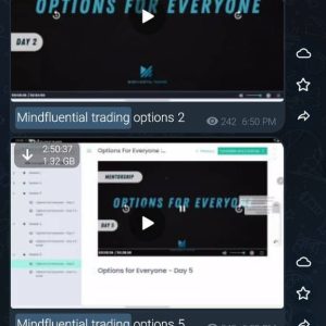 Mindfluential Trading Options Course - Image 2
