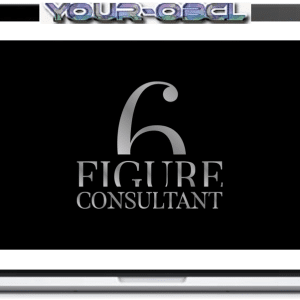 6 Figure Consultant (Millionaire Organic Consulting)