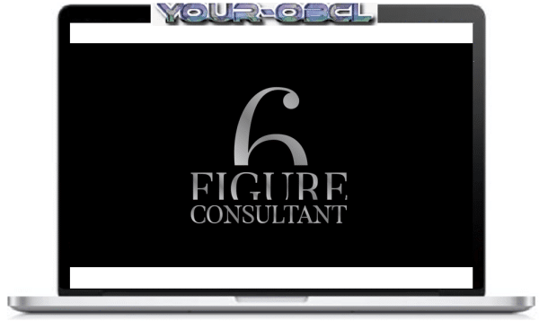 6 Figure Consultant (Millionaire Organic Consulting)