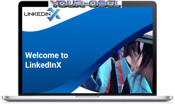 Alex Berman â€“ LinkedinX