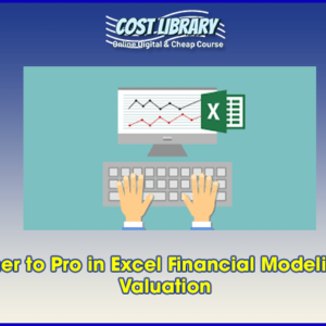 Beginner to Pro in Excel Financial Modeling and Valuation