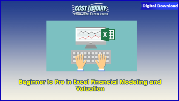 Beginner to Pro in Excel Financial Modeling and Valuation