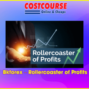 Bkforex â€“ Rollercoaster of Profits