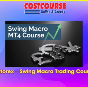 Bkforex â€“ Swing Macro Trading Course